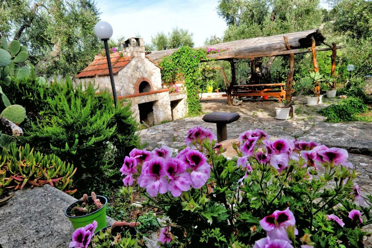 Terra Di Ulivo Villa Vieste Exterior photo