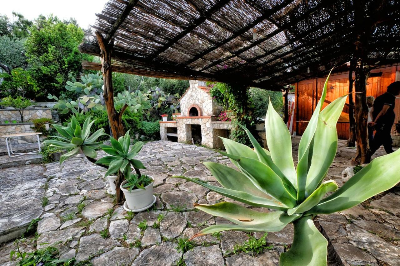Terra Di Ulivo Villa Vieste Exterior photo